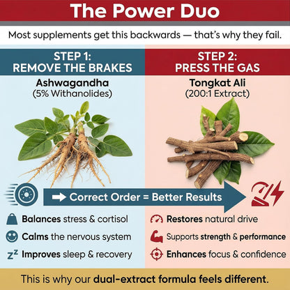 Tongkat Ali 200:1 Extract + Ashwagandha 5% Withanolides | Adaptógeno Dual Alta Potencia | 120 Cápsulas – Image 5