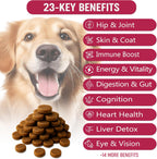 PAWMID Multivitamínicos Masticables para Perros con Probióticos - 140 Golosinas