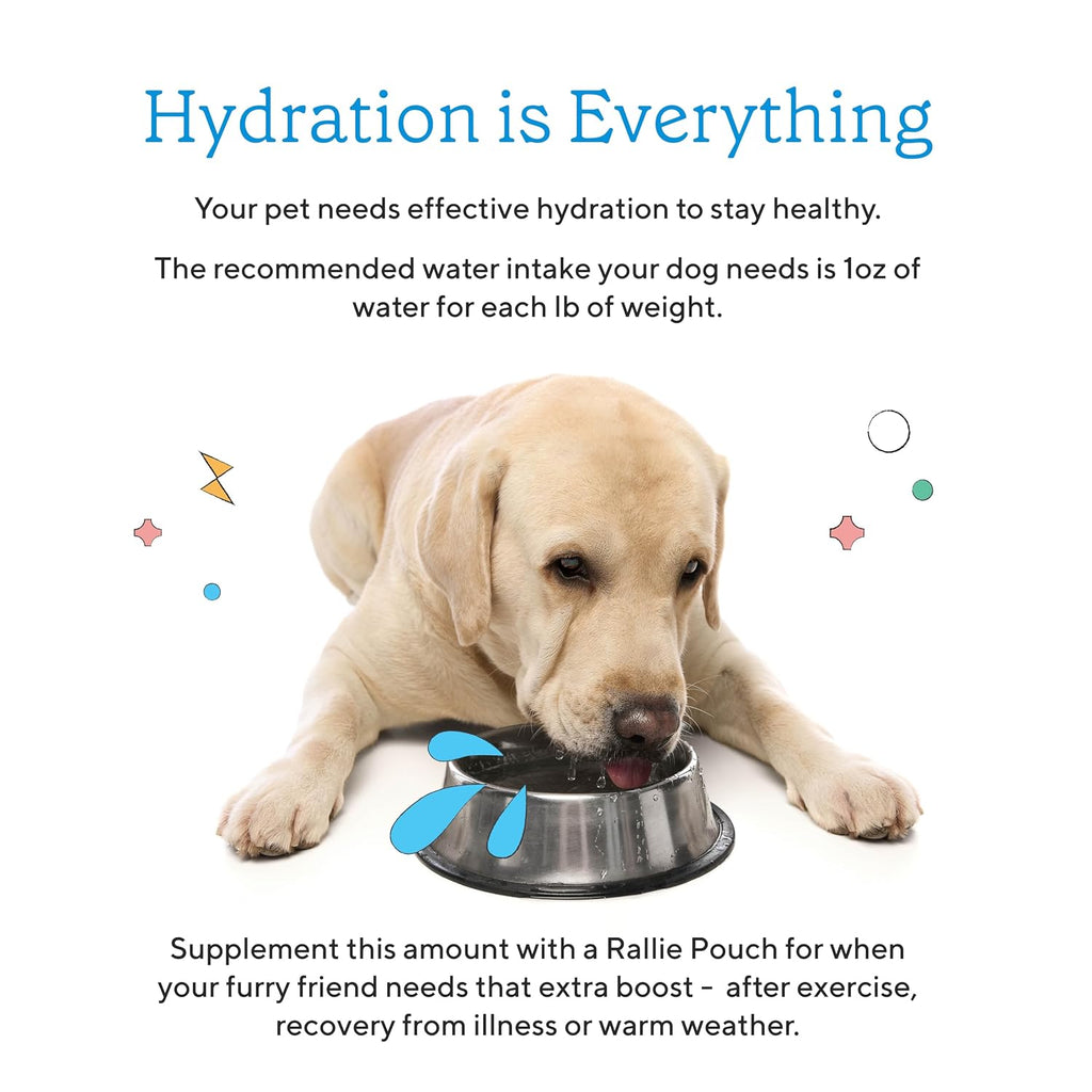 Rallie Agua Hidrogenada para Perros Sabor Manzana y Bacon - Complemento Líquido Multivitamínico con Electrolitos, Glucosamina y Vitaminas B, 6 x 500 ml