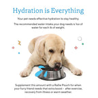 Rallie Agua Hidrogenada para Perros Sabor Manzana y Bacon - Complemento Líquido Multivitamínico con Electrolitos, Glucosamina y Vitaminas B, 6 x 500 ml