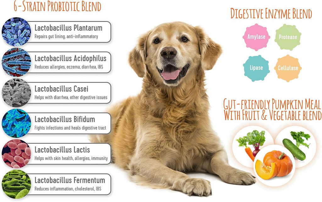 Extend® Probióticos para Perros – 100 Masticables Blandos con 15 Mil Millones UFC