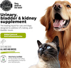 UroMAXX Tratamiento Urinario para Perros y Gatos, Soporte para Vejiga y Riñones, con Arándano Rojo y Glucosamina, Sabor a Salmón, 177 ml
