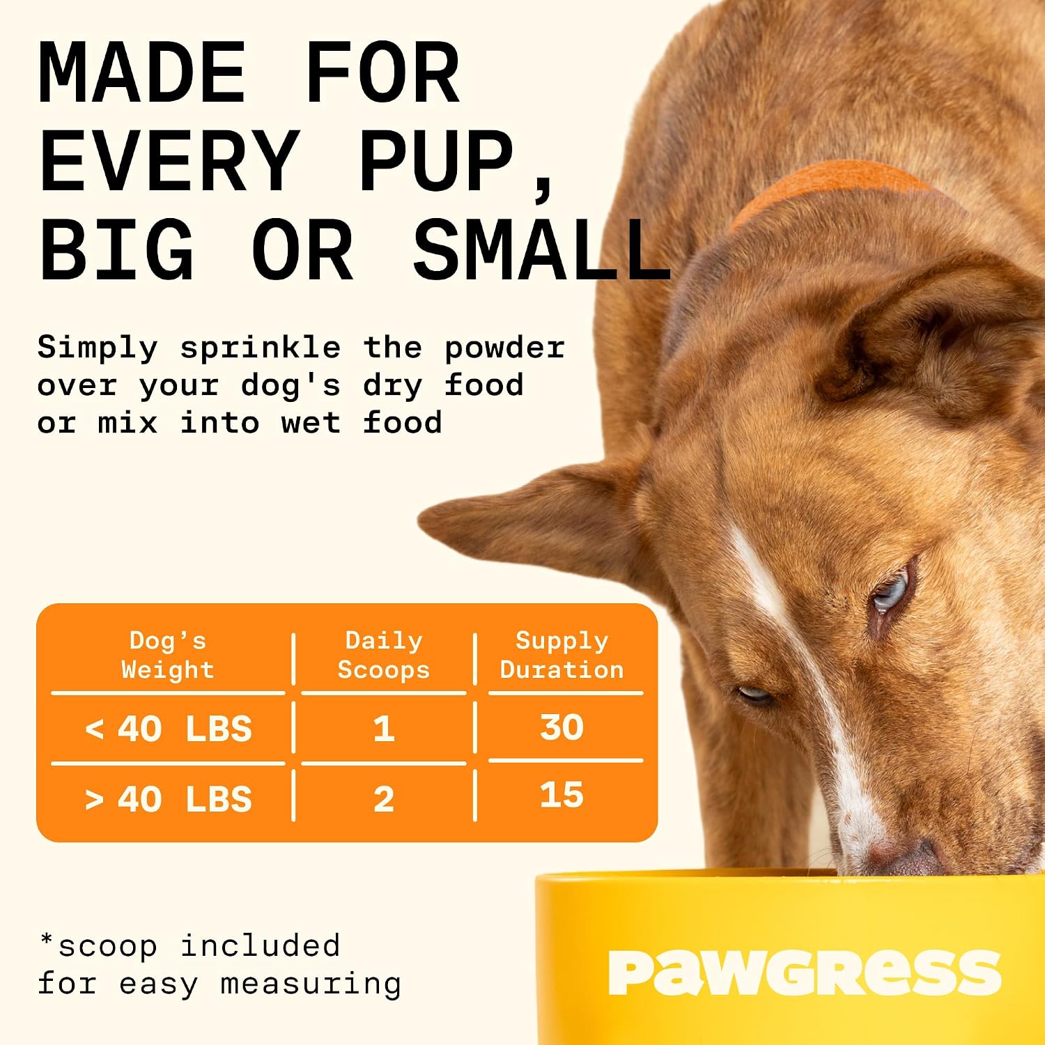 5-in-1 Probiótico en Polvo para Perros – Apoyo Digestivo Natural con Prebióticos, Postbióticos y Enzimas – Fabricado en EE.UU. – 30 Dosis