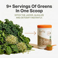 swiig Organic Super Greens Powder - 454 g (90 porciones)