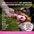 Pet Honesty Suplemento Multivitamínico 10 en 1 para Perros con Glucosamina y Probióticos - 90 Comprimidos Sabor Pollo