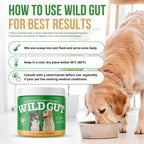 Wild Gut - Suplemento probiótico natural para mascotas | Apoya la salud digestiva y el microbioma intestinal | 8 cepas probióticas | 1 Frasco