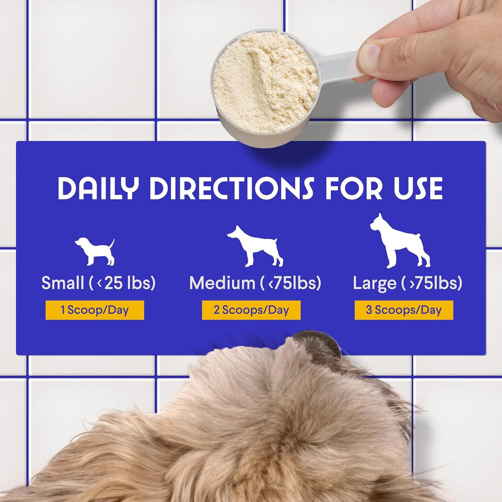Wonder Paws Immune Support – Polvo de Setas Orgánicas para Perros, 90 Dosis