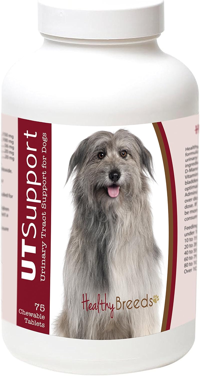 Healthy Breeds Masticables de Arándano para Perros - Apoyo Urinario - 75 unidades