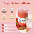 Sea Moss Gel Silvestre con Fresa Orgánica | 92+ Vitaminas y Minerales | Vegano, Sin Gluten | Ocean Bliss - 473 ml