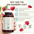HerbEra Cápsulas de Hoja de Frambuesa Roja Ecológicas – Apoyo para el Bienestar Femenino, Rubus Idaeus, Vegano (120 Cápsulas)