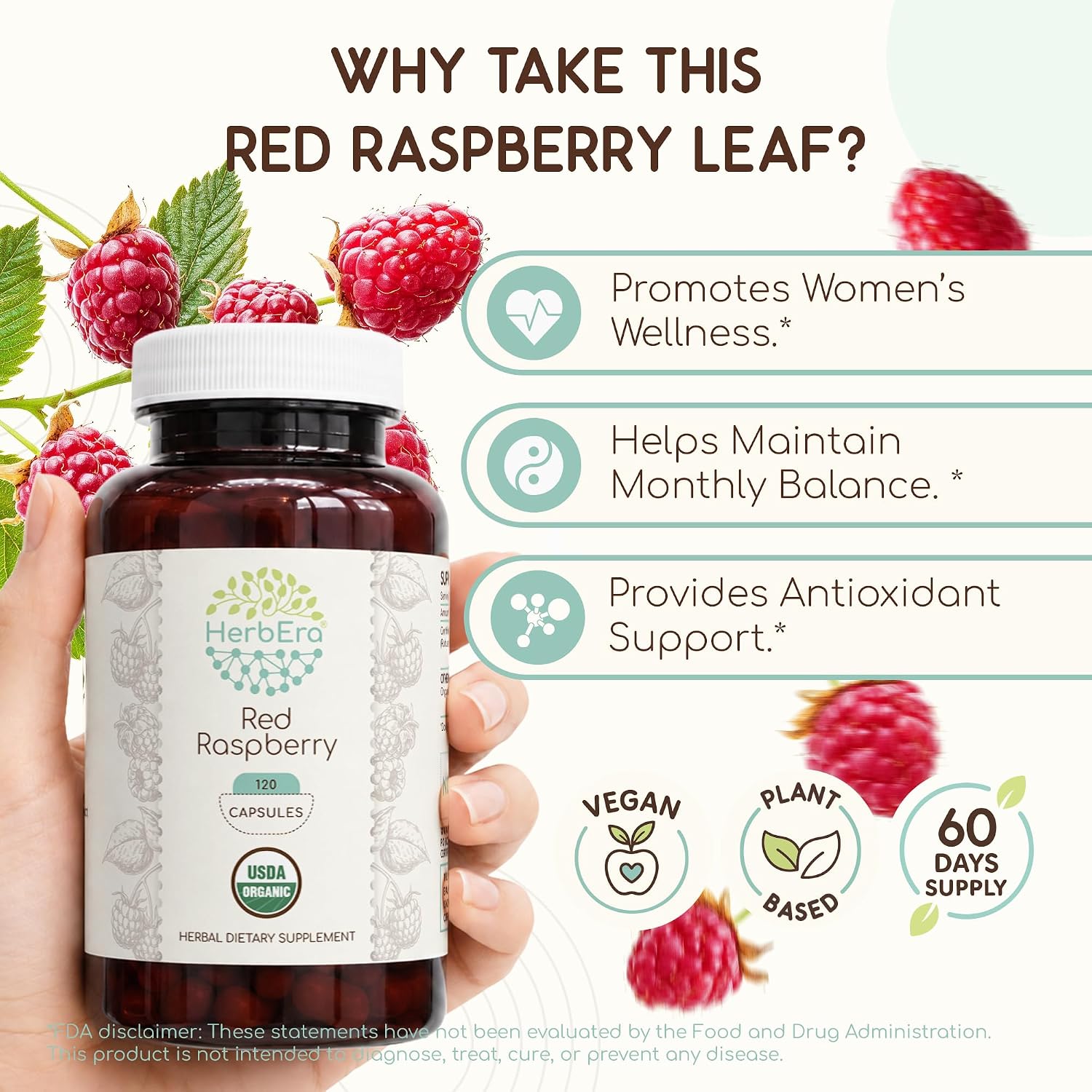 HerbEra Cápsulas de Hoja de Frambuesa Roja Ecológicas – Apoyo para el Bienestar Femenino, Rubus Idaeus, Vegano (120 Cápsulas)