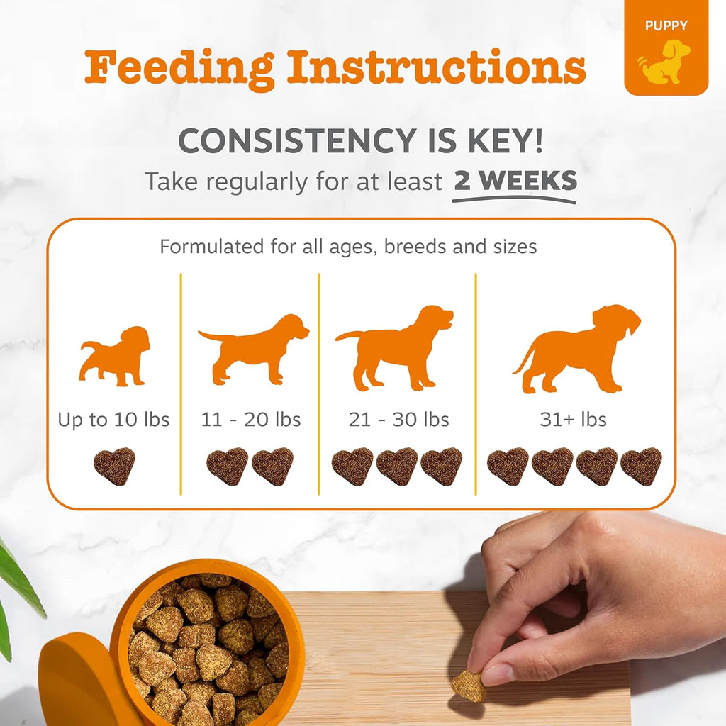 Zesty Paws Puppy Allergy Immune Bites - Masticables para alergias caninas, probióticos para picor de piel y oídos, sabor cordero, 90 unidades