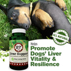 Silver Lining Herbs - Liver Support for Dogs - All Natural Herbal Supplement with Milk Thistle, Turmeric, Chamomile and More - 90 Capsules