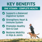 Fur Belly Multivitamínico para Perros - 120 Masticables Suaves