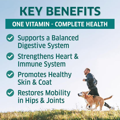 Fur Belly Multivitamínico para Perros - 120 – Vitamina D3 (colecalciferol): Ayuda a la absorción de calcio y – Image 2