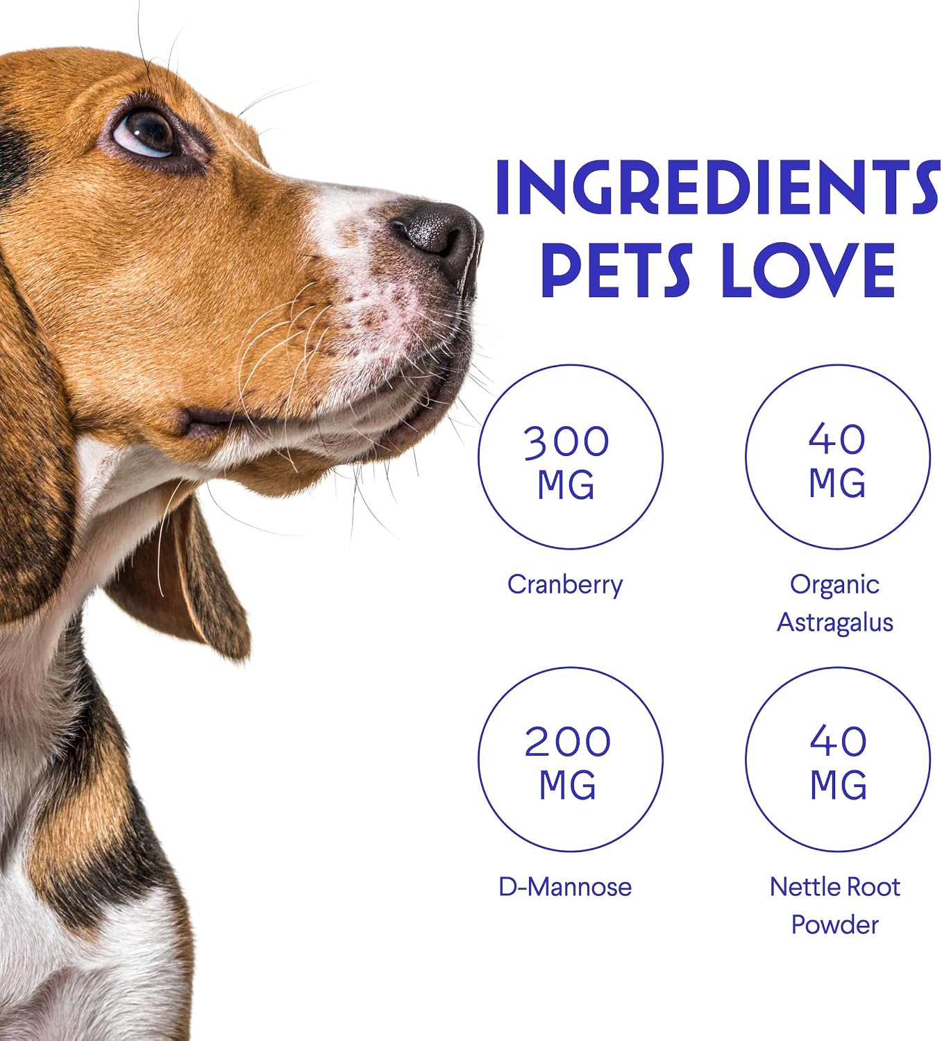 Wonder Paws Premium Kidney Support for Dogs – Suplemento Líquido de Arándano para Perros – 60 ml