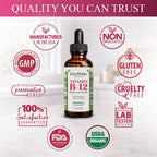 Vitamin B12 1000 mcg Organic Liquid Sublingual - Methylcobalamin & Adenosylcobalamin - 2 fl oz (1 Year Supply)