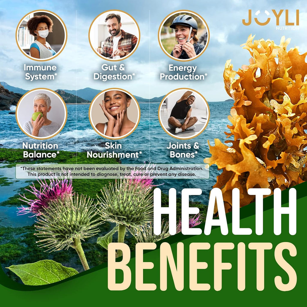 JOYLI Nutrition - Gominolas de Sea Moss para Adultos y Niños – Suplemento Vegano con Bladderwrack y Burdock Root – Sin Azúcar – 2 Paquetes de 60 Gominolas