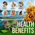 JOYLI Nutrition - Gominolas de Sea Moss para Adultos y Niños – Suplemento Vegano con Bladderwrack y Burdock Root – Sin Azúcar – 2 Paquetes de 60 Gominolas