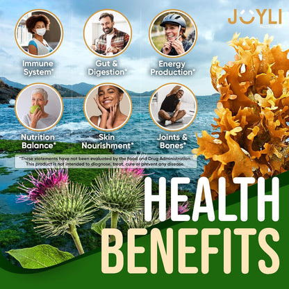 JOYLI Nutrition - Gominolas de Sea Moss para Adultos y Niños – Suplemento Vegano con Bladderwrack y Burdock Root – Sin – Image 2