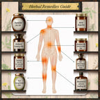 Forgotten Home Apothecary : 250 Powerful Remedies at Your Fingertips