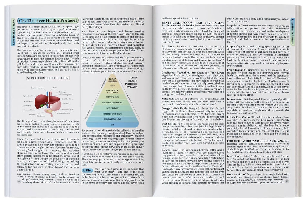 The Holistic Guide to Wellness: Herbal Protocols for Common Ailments
