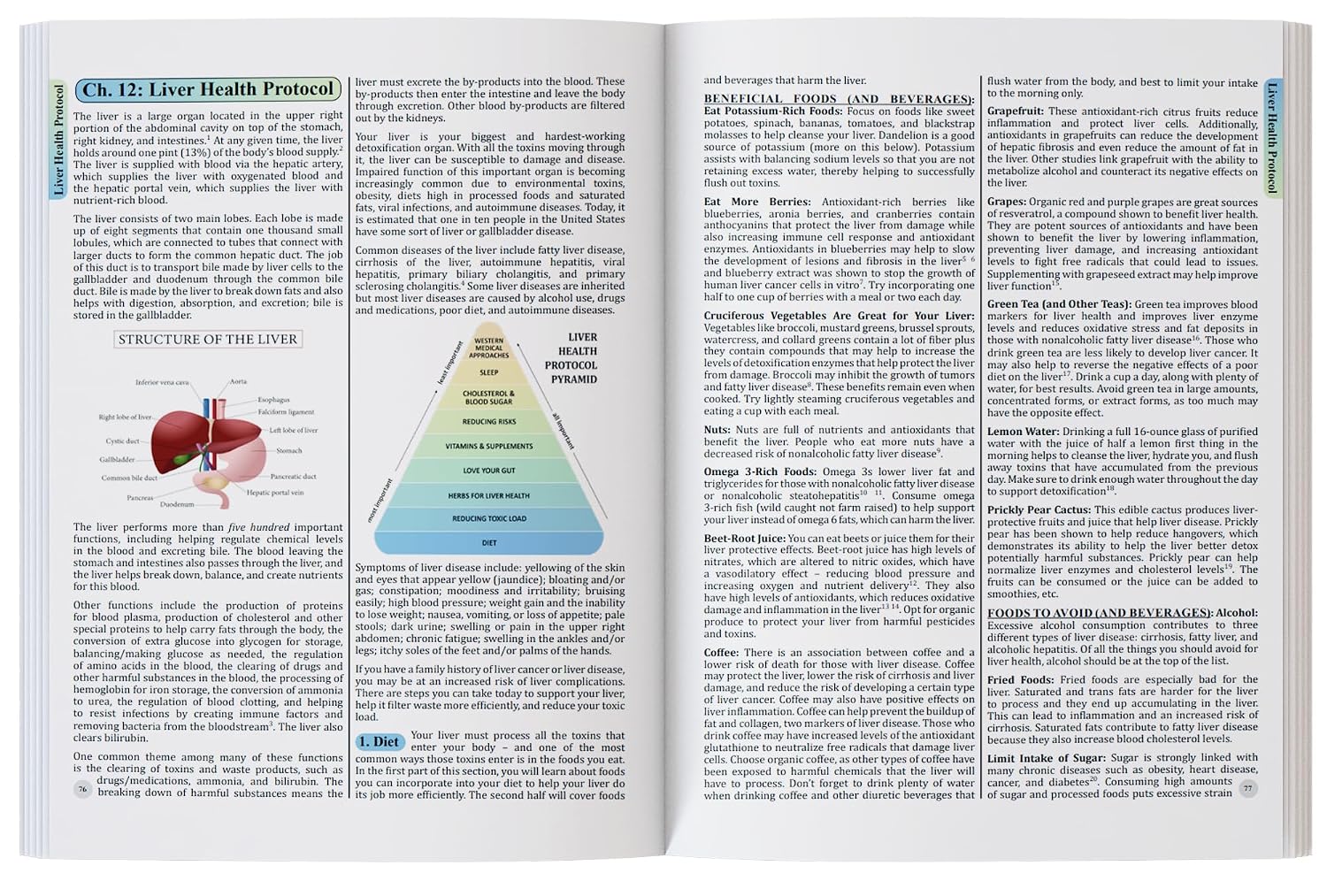 The Holistic Guide to Wellness: Herbal Protocols for Common Ailments