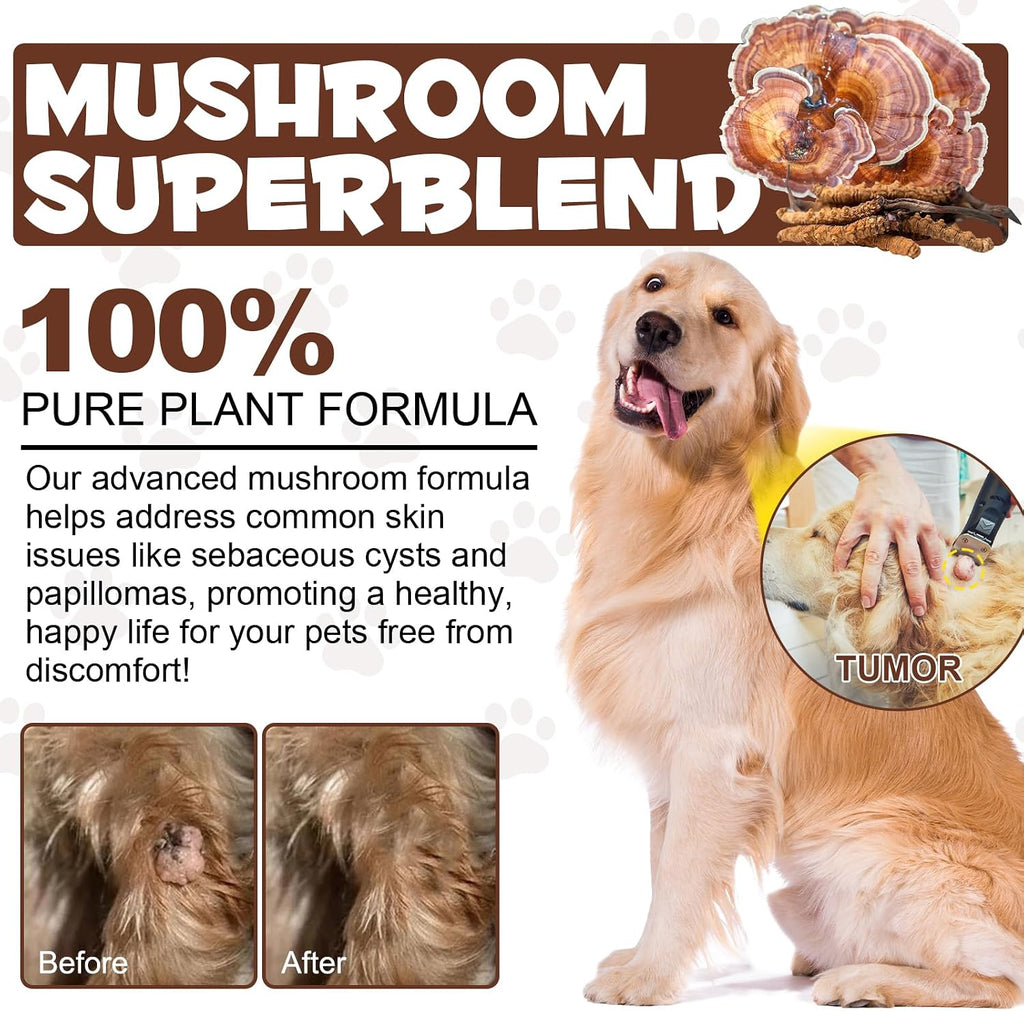 FANGCUN Polvo de Hongos para Perros y Gatos - Mezcla de 11 Setas, Sabor a Bacon, 120g