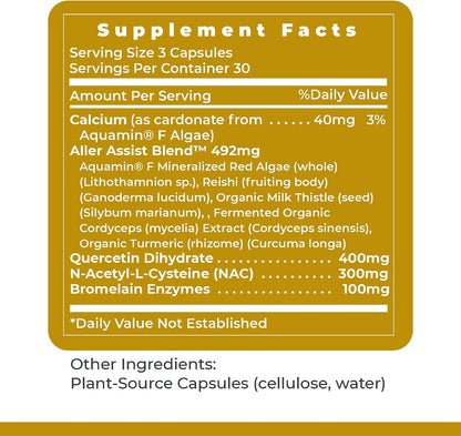 Premier Research Labs AllerCaps – Suplemento – Función respiratoria: La combinación de NAC y bromelina puede – Image 6