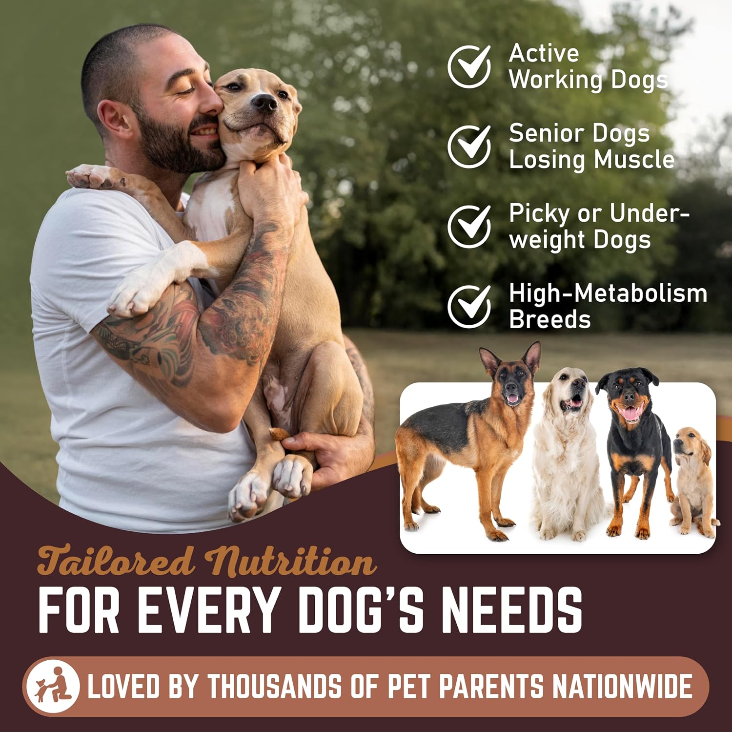All American Canine Perro Weight Gainer Líquido – Suplemento de Altas Calorías para el Aumento de Peso, Masa y Recuperación – Estimulante del Apetito (473 ml)