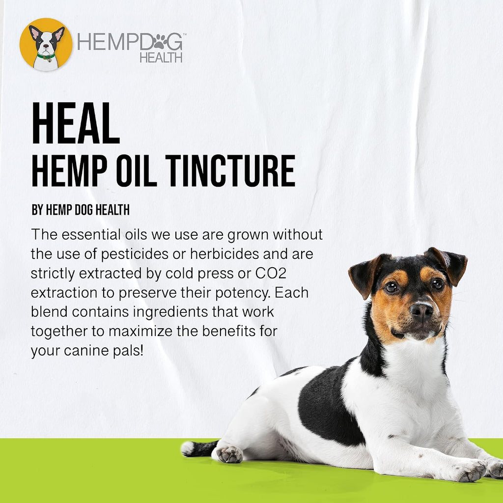 HEAL - Aceite de Cáñamo para Perros - Apoyo Inmunológico y Bienestar Diario
