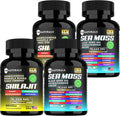 TM NATURALS Cápsulas de Sea Moss, Black Seed Oil, Ashwagandha y Jengibre - 240 cápsulas
