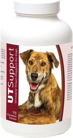 Healthy Breeds Cranberry Chewables para Perros - Apoyo Urinario - 75 masticables