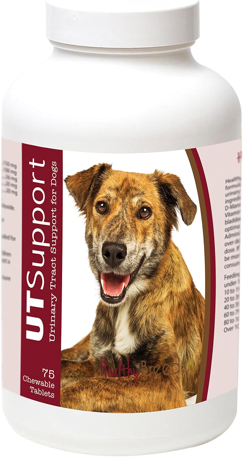 Healthy Breeds Cranberry Chewables para Perros - Apoyo Urinario - 75 masticables