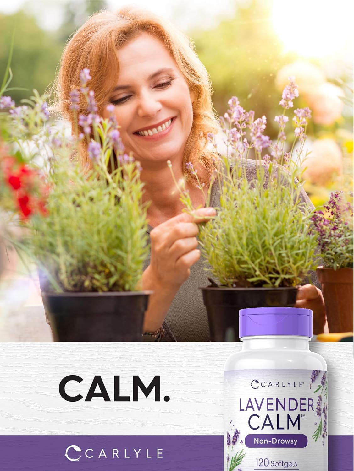 Carlyle Lavanda 80 mg – 120 Cápsulas Blandas
