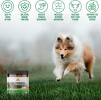 Pre + Probiotic Powder for Dogs with Digestive Enzymes - Sabor a Hígado de Ternera Natural - 120 Dosis