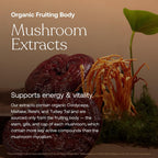 True Grace One Daily Multivitamínico para Mujeres con Minerales Fermentados, Adaptógenos Orgánicos y Hongos - Apoyo Completo para Cuerpo, Mente y Belleza - 30 Comprimidos Veganos