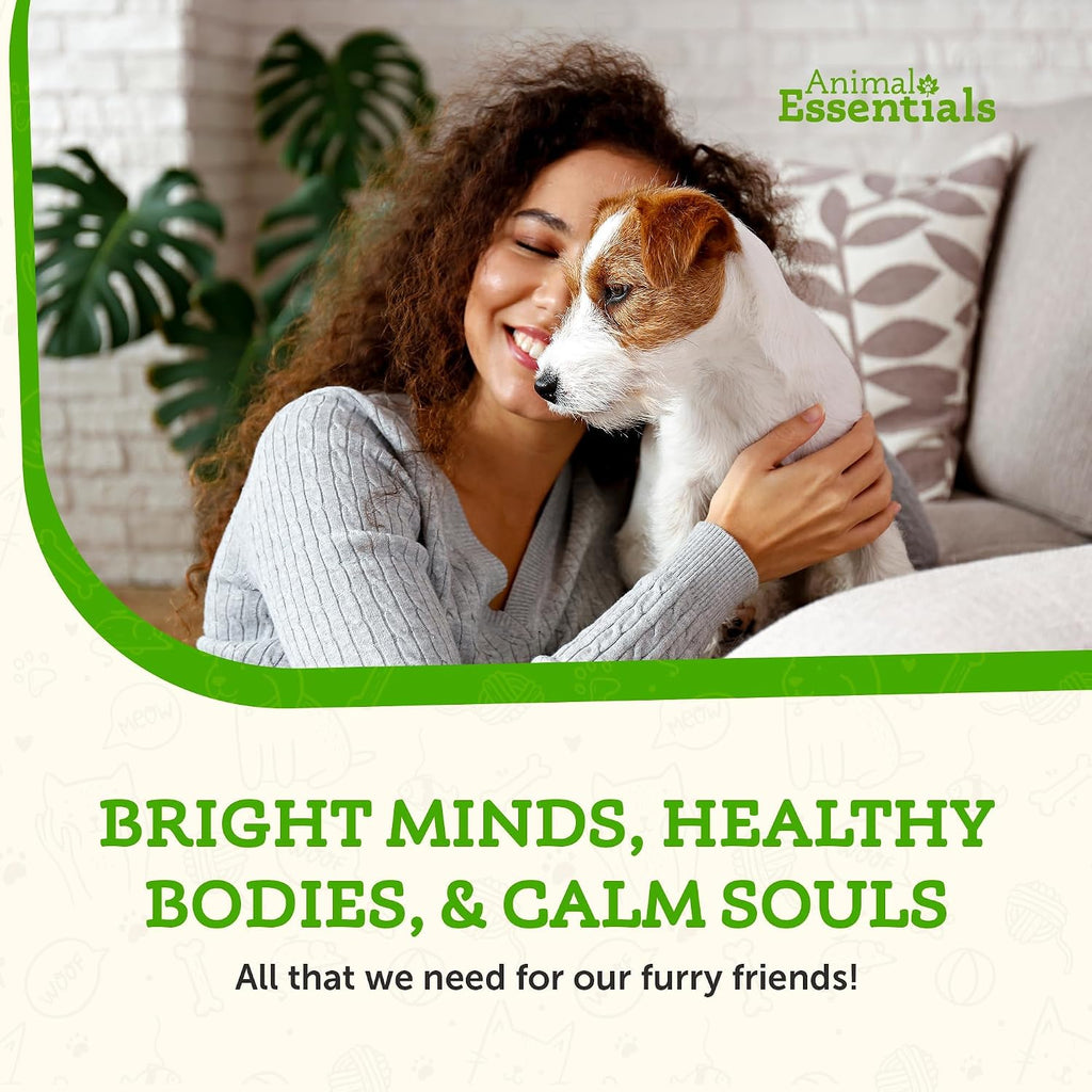 Animal Essentials Focus Lions Mane Mushroom Supplement para Perros y Gatos – 1.8 oz (51 g)