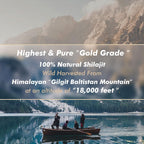 Resina de Shilajit Orgánica del Himalaya - Grado Oro 100% Pura con Ácido Fúlvico y 85+ Minerales Traza - Pack de 3 (6 Meses de Suministro)