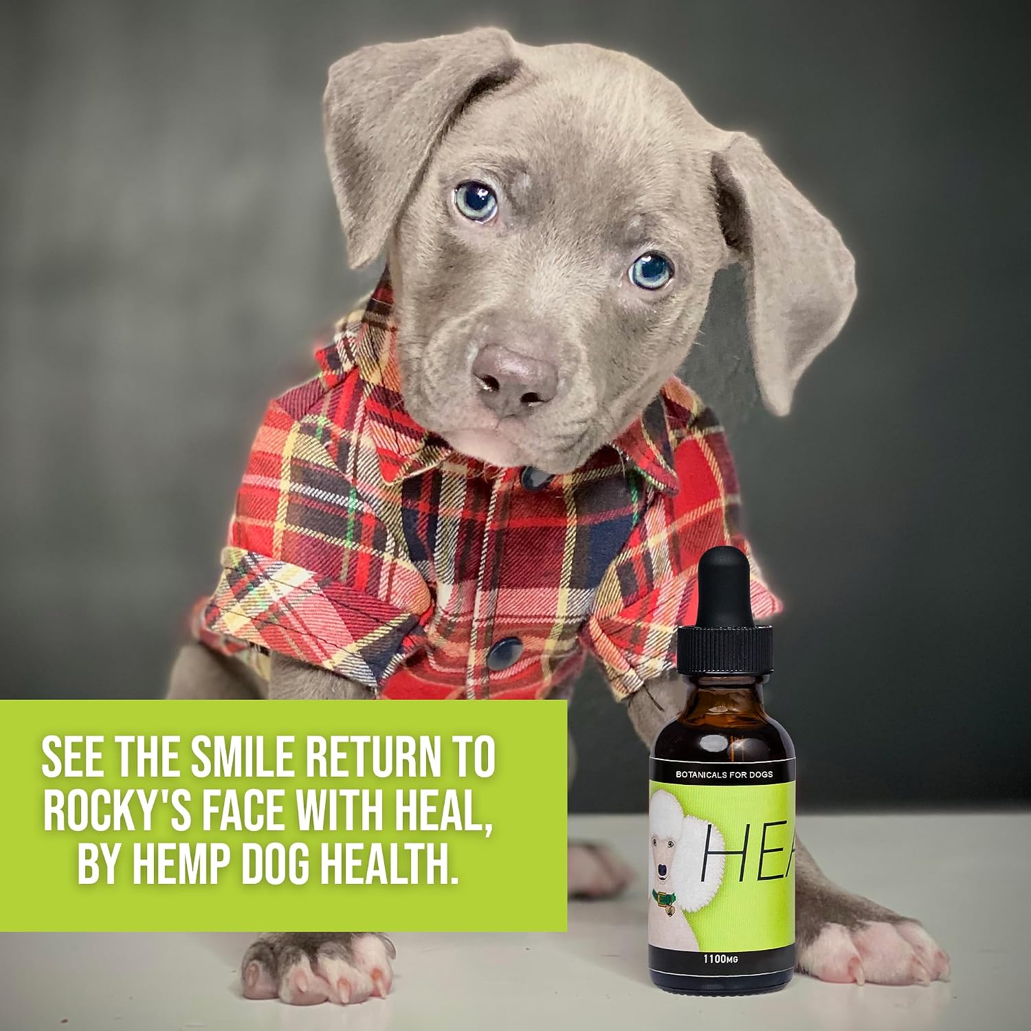HEAL - Aceite de Cáñamo para Perros - Apoyo Inmunológico y Bienestar Diario