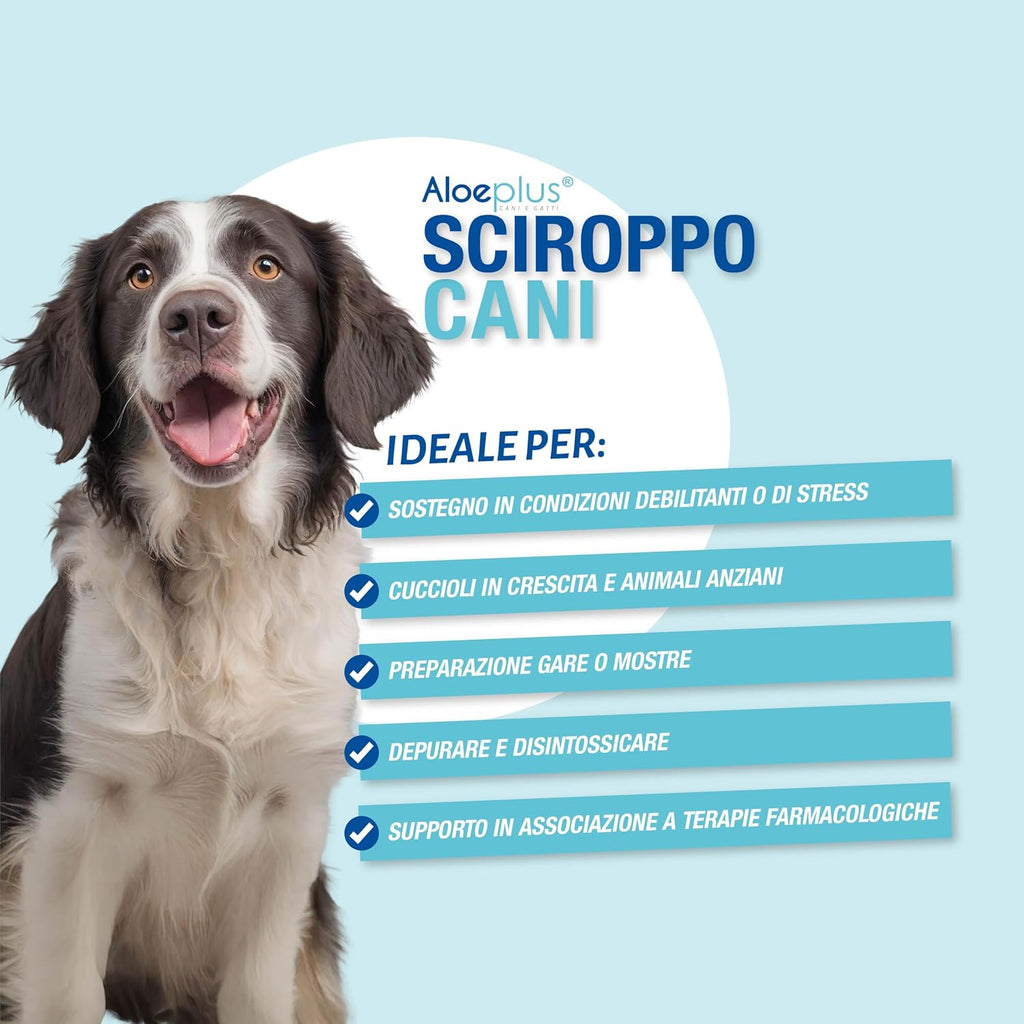 Aloeplus Jarabe para Perros 250ml - Suplemento Alimenticio con Aloe Arborescens Orgánico