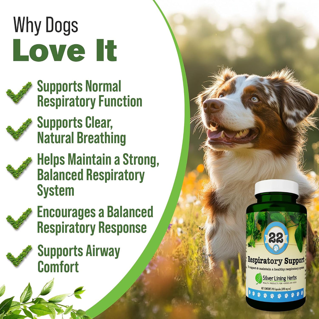 Respiratory Support for Dogs - Herbal Blend with Mullein, Ginger, Boswellia, and Yerba Santa - 90 Capsules