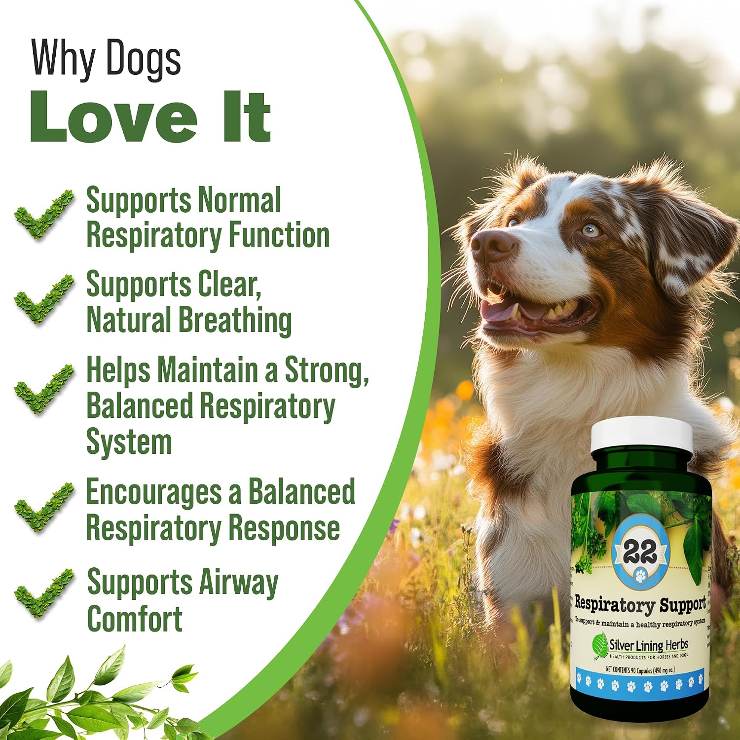 Respiratory Support for Dogs - Herbal Blend with Mullein, Ginger, Boswellia, and Yerba Santa - 90 Capsules