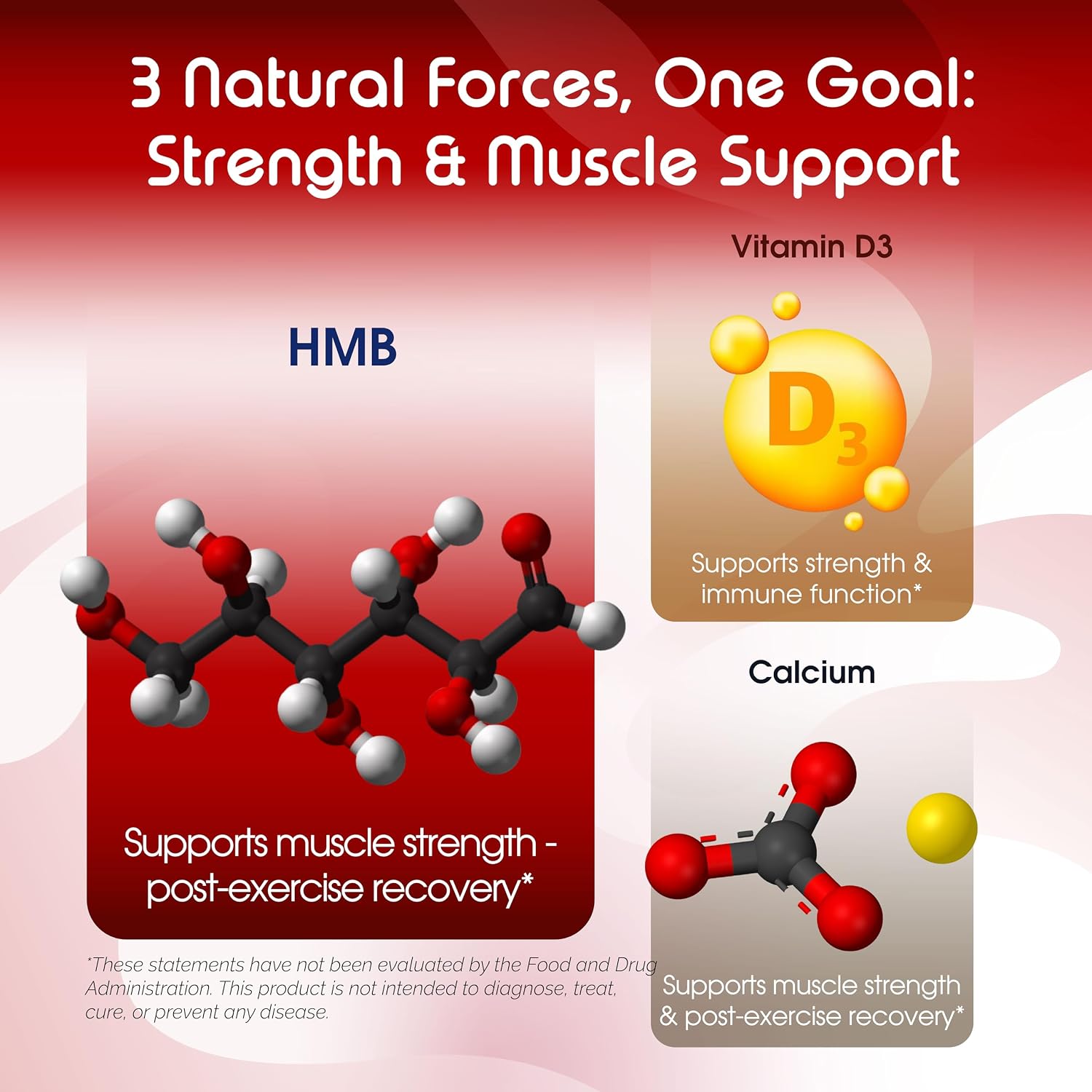 VITAL HERBAL Liposomal HMB con Vitamina D3 – Máxima Potencia – Apoya la Salud Muscular y el Cuerpo Activo