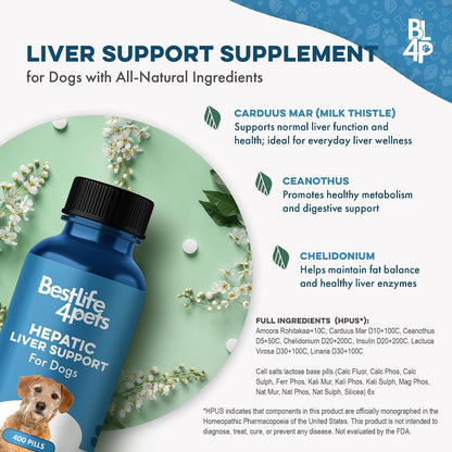 Complemento Hepático para Perros con Cardo Mariano – Fórmula de Detox Suave – 400 Comprimidos Inodoros