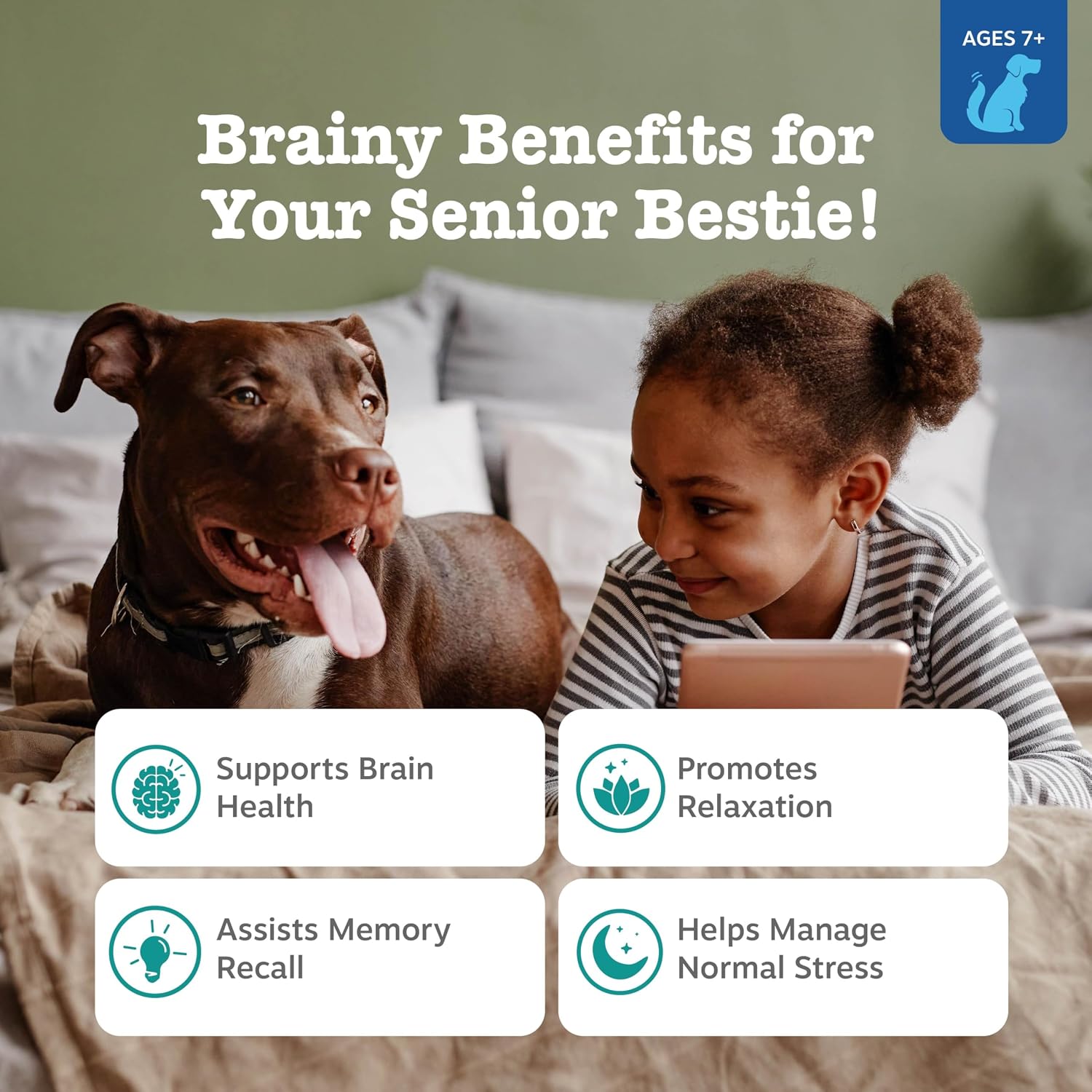 Zesty Paws Senior Advanced Calming & Cognition – Snacks blandos para perros mayores
