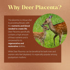 Dragon Herbs Deer Placenta Capsules – 60 Capsules, 500 mg Per Capsule