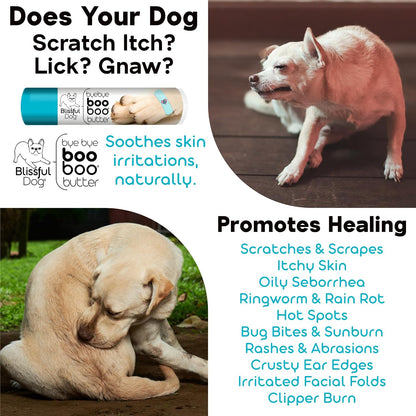 The Blissful Dog .50 oz Tube Brittany Booboo – Aceite de aguacate: nutritivo y reparador. – Image 4