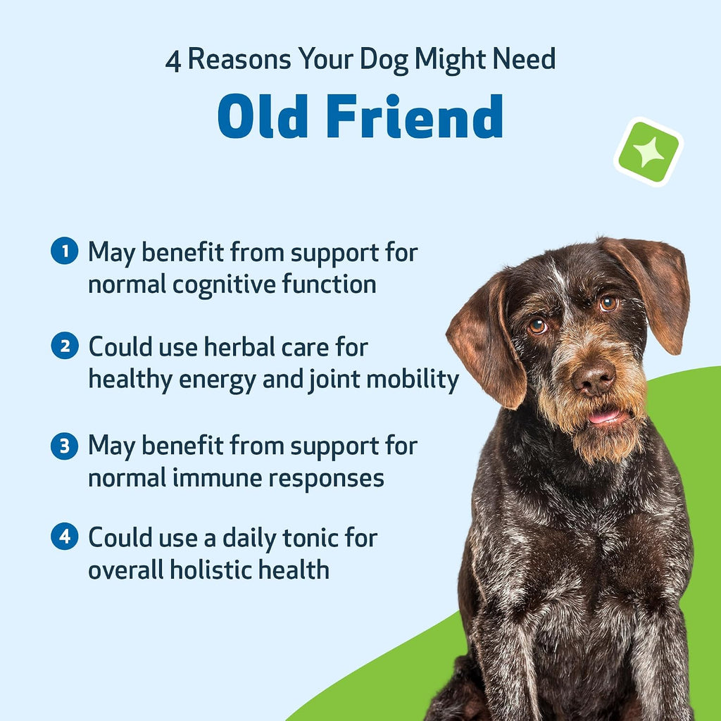 Pet Wellbeing Old Friend para Perros Senior - Suplemento Herbal para la Salud Inmunológica, Movilidad Articular y Niveles de Energía - 59 ml