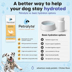 Petralyte Electrolitos y Suplemento Articular para Perros - 32 Paquetes Sabor Pollo